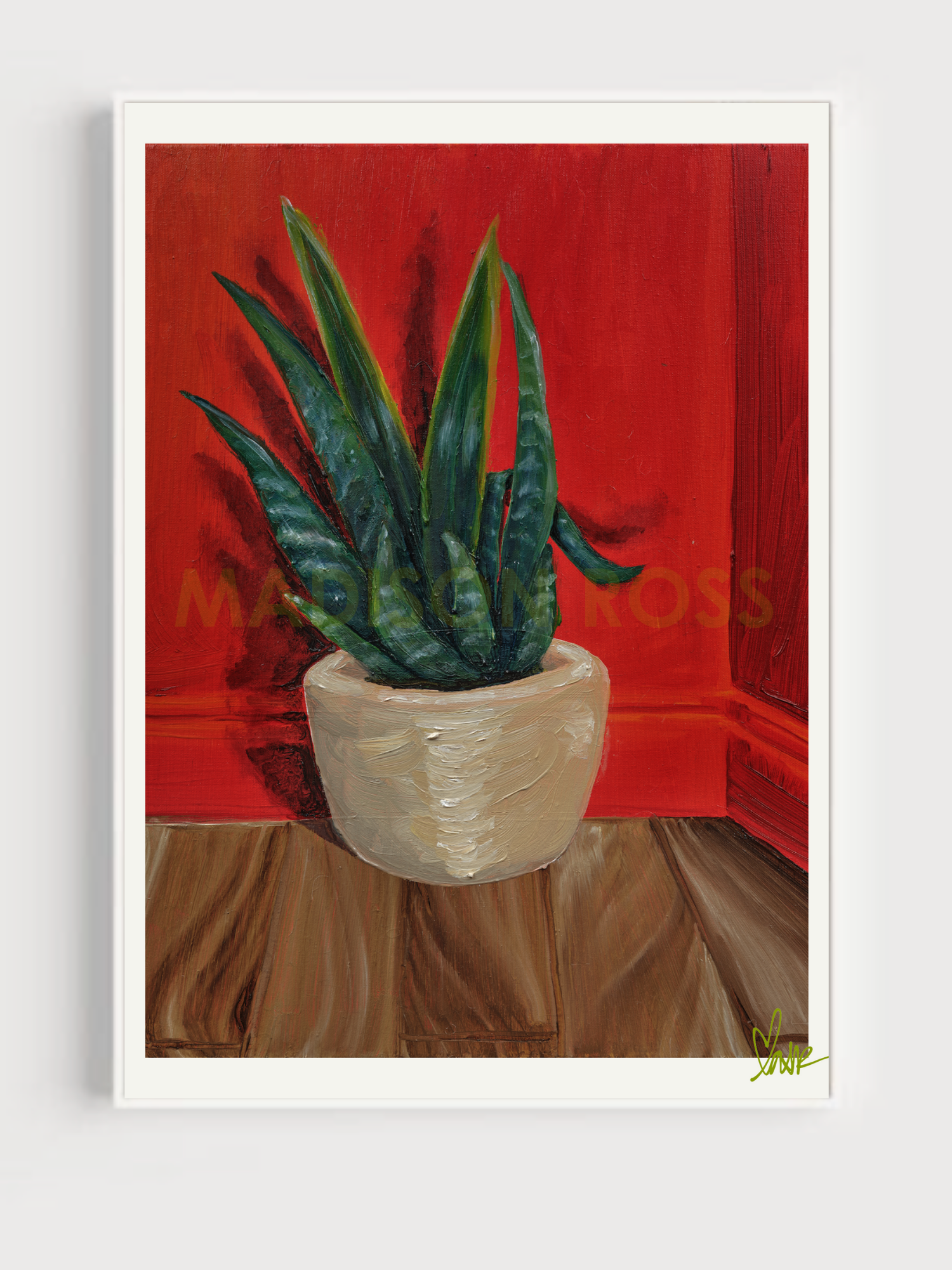 "Snake Plant in Vase 01" - Print Edition